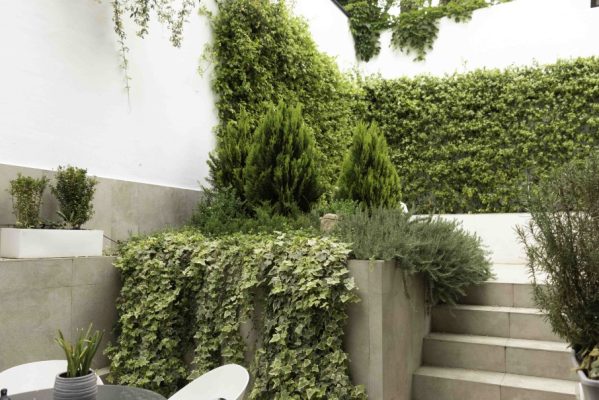 ilustracion-despues (26)