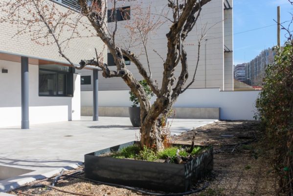 ilustracion-exterior-despues (2)